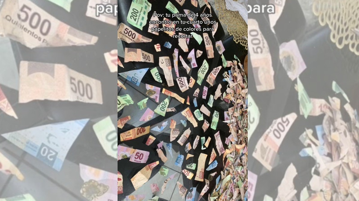 Pequeña confunde billetes con papelitos; ¡los corta en pedacitos!