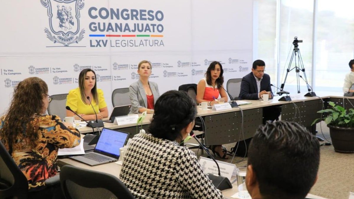 Avanza 3 de 3, para que deudores alimentarios o agresores no sean candidatos en elecciones