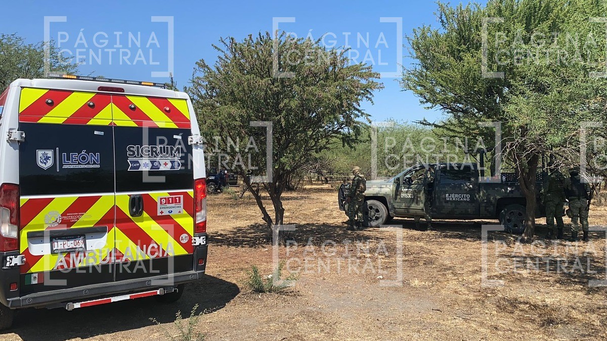 Perros hallan cuerpo enterrado entre campos de cultivo