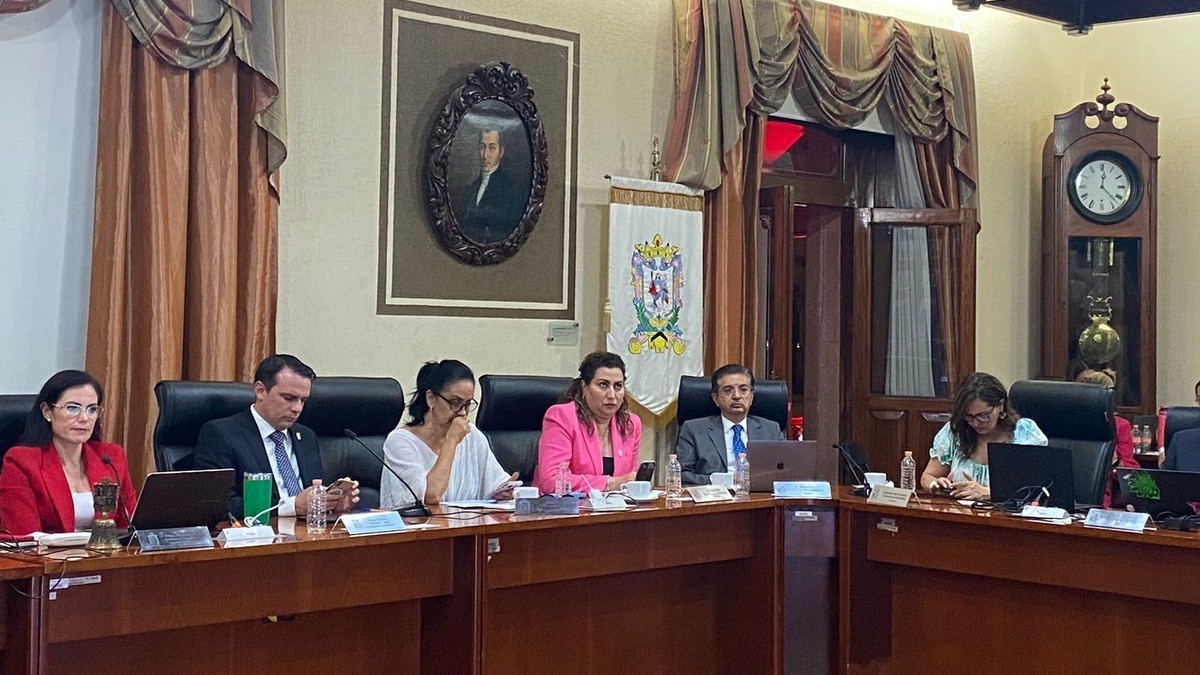 Sesiones a distancia en el Ayuntamiento de León, llegaron para quedarse