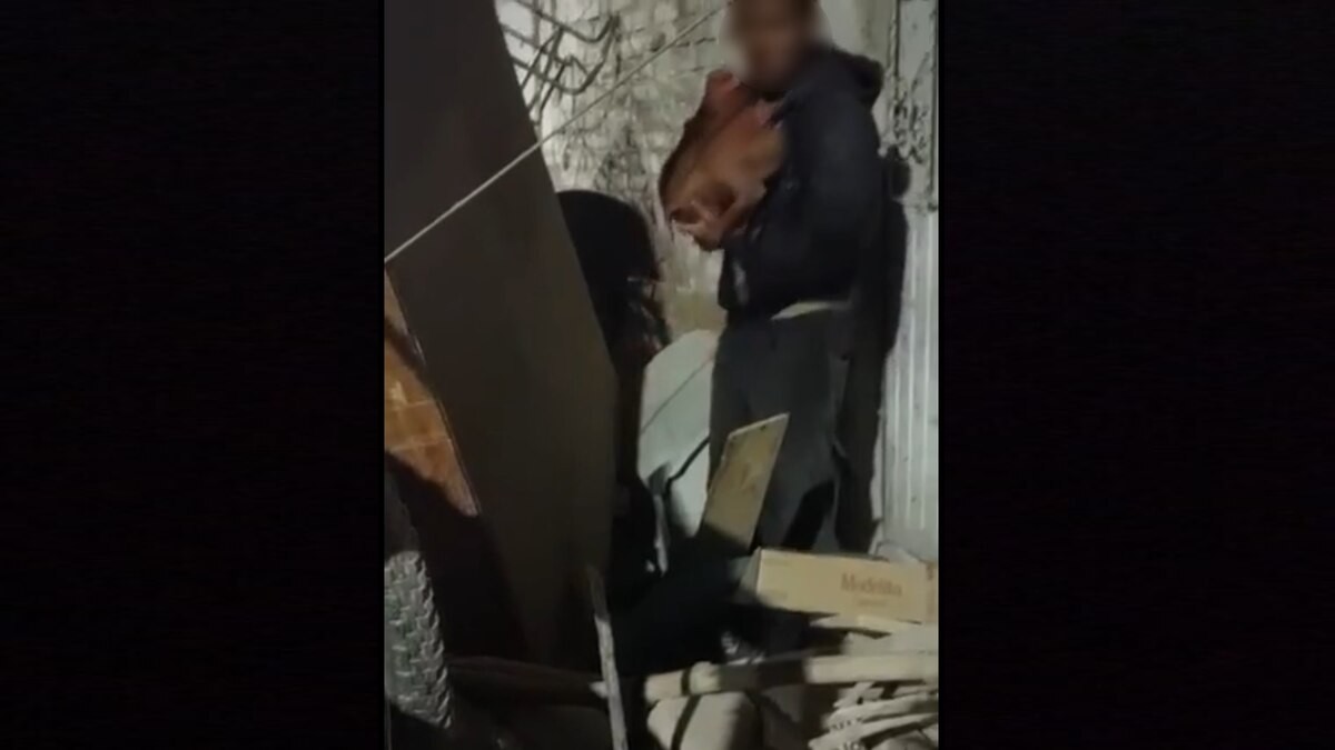 Interpone rescatista denuncia contra hombre come perros