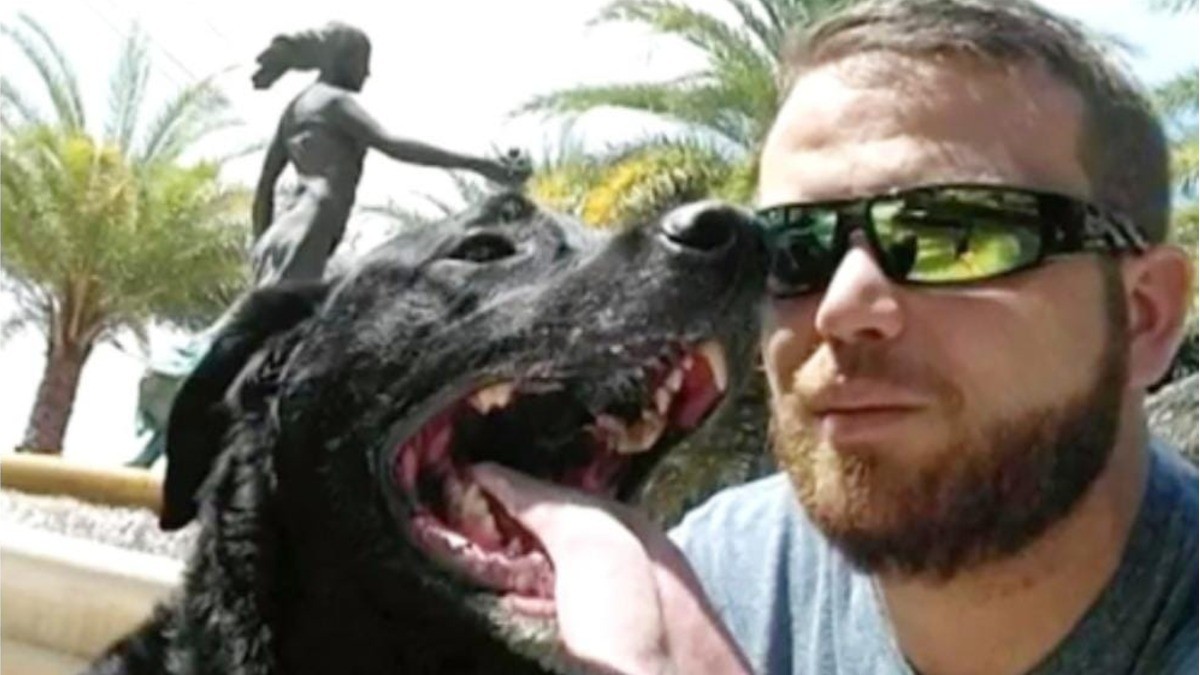 Perrito muere por ingerir agua de mar