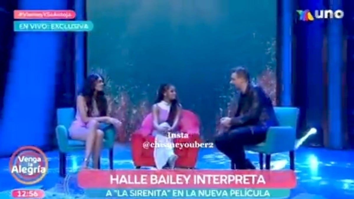 ¿Va Halle Bailey contra el Pato Borghetti de Venga la Alegría?