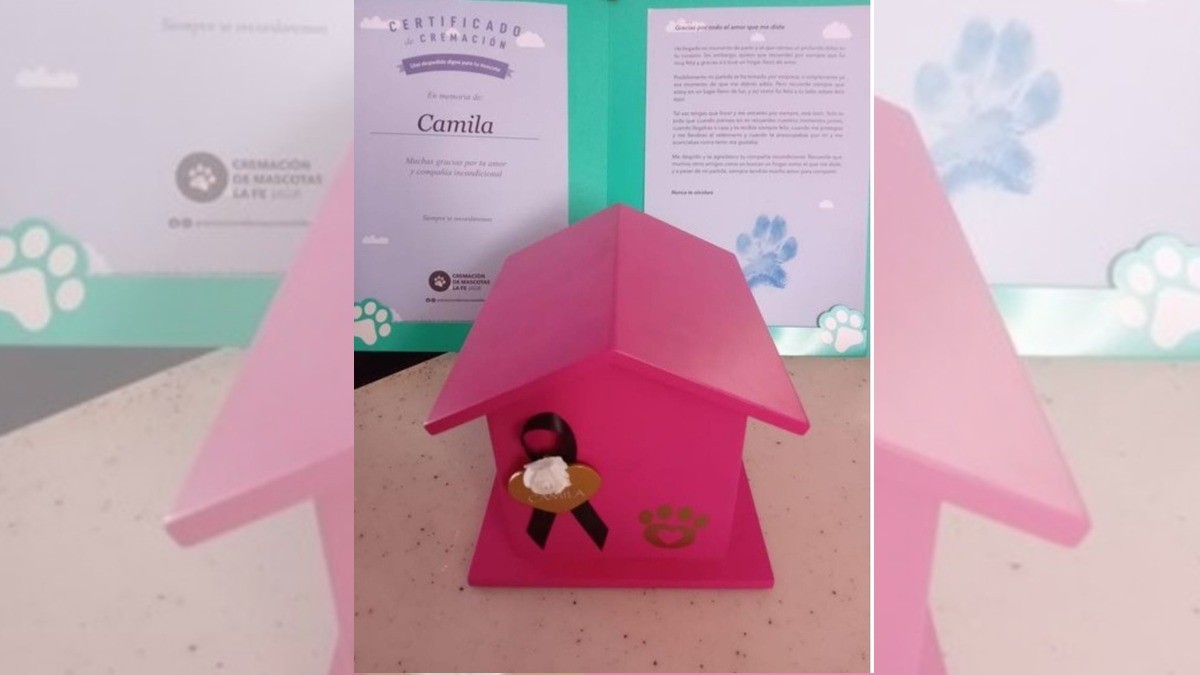 Perrita fallece dos días después que su dueña; ¡murió de tristeza!