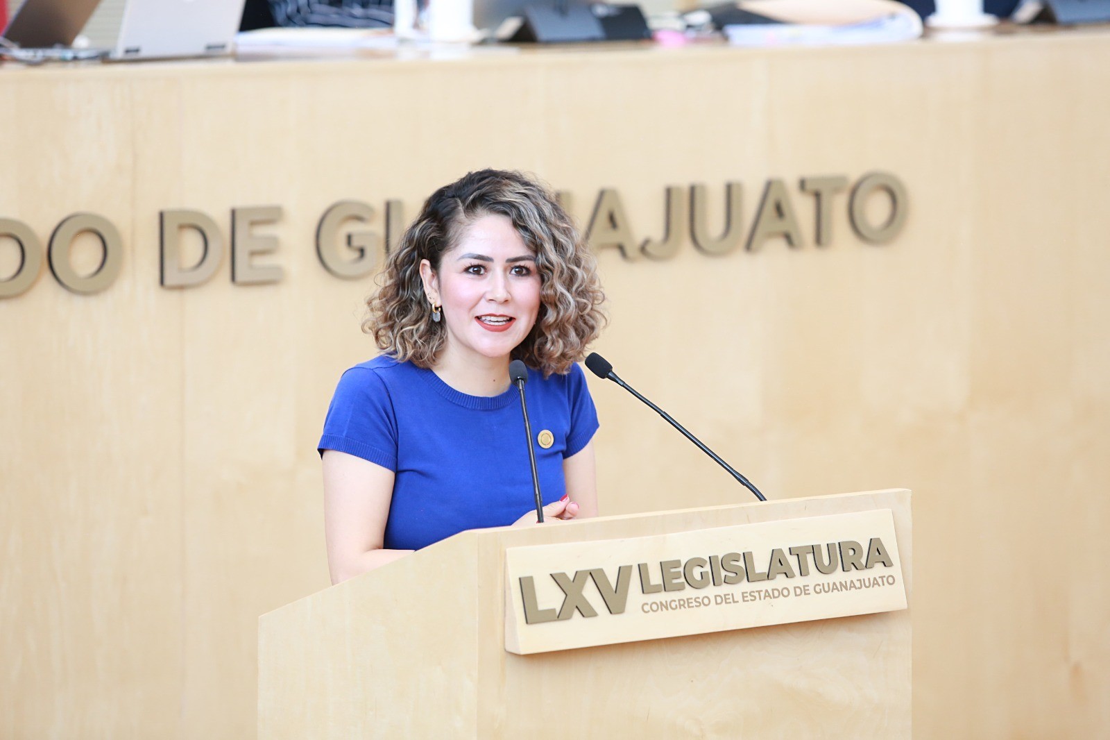 Deudores alimentarios y violentadores no accederán a cargos públicos