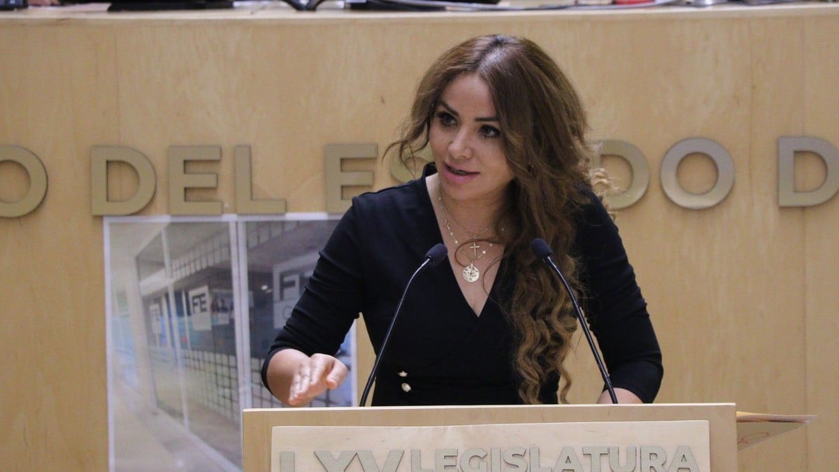 Denunciará diputada entrega de dinero a organizaciones sociales a través de FIDESSEG