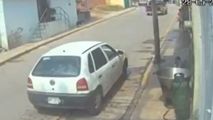 Arrojó perrito a cazo de manteca hirviendo y redes exigen justicia