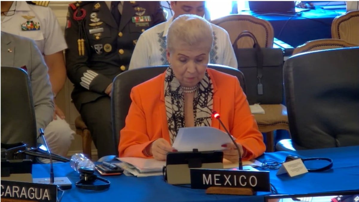 Critica OEA a embajadora mexicana por oponerse al techo del presupuesto