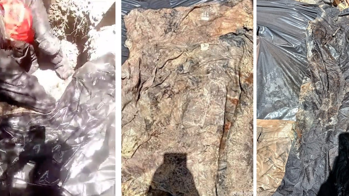 Localizan restos de 20 personas en fosa de Salamanca