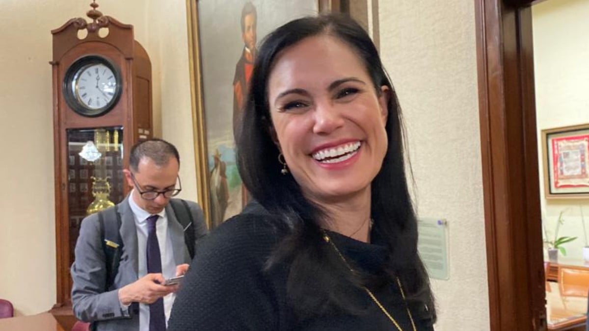 PAN debe buscar los mejores perfiles dentro del partido: Ale Gutiérrez