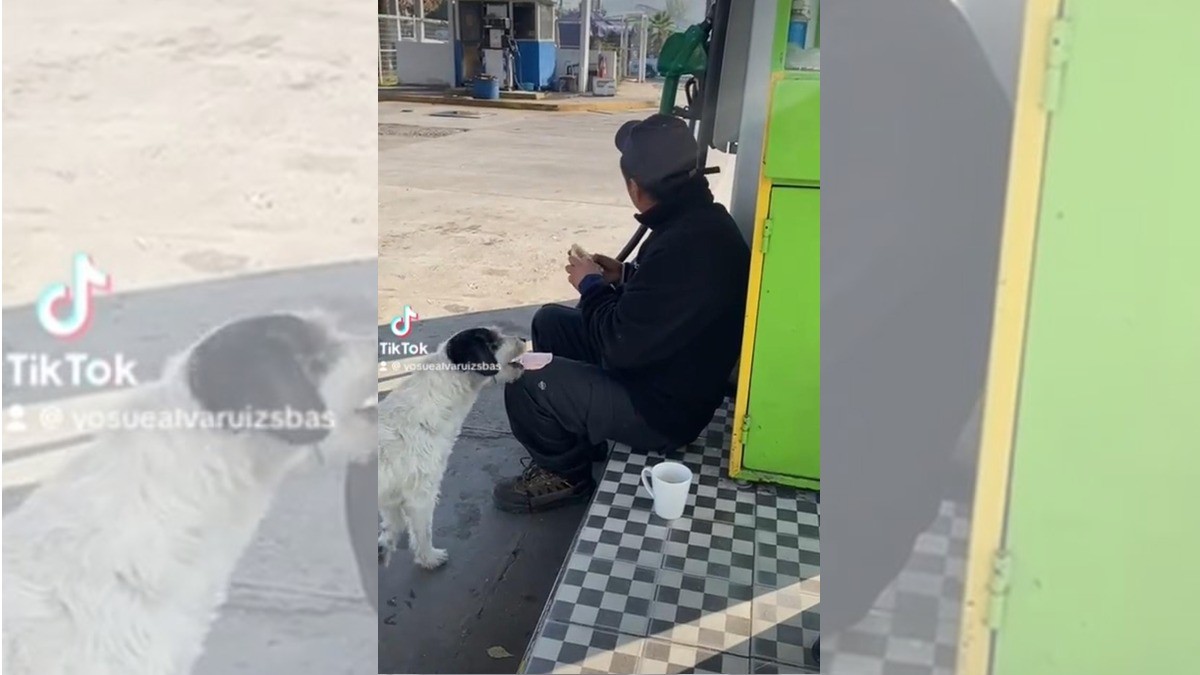 Perrito gandalla deja sin jamón a un despachador