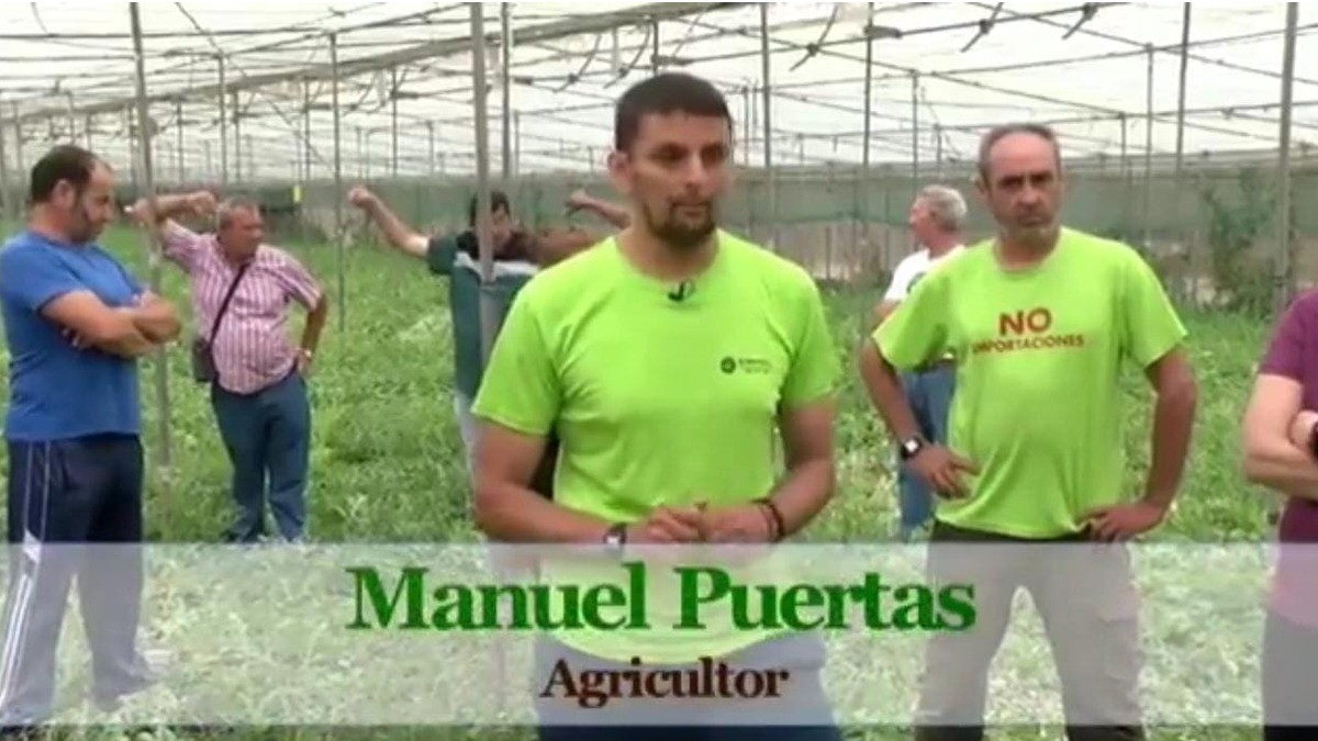 Productor regalará 100 toneladas de sandía por falta de compradores