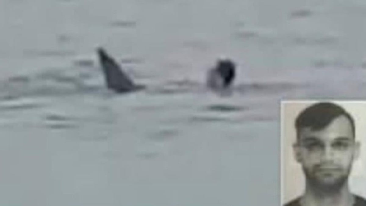 Graban los momentos en que un bañista es atacado por un tiburón