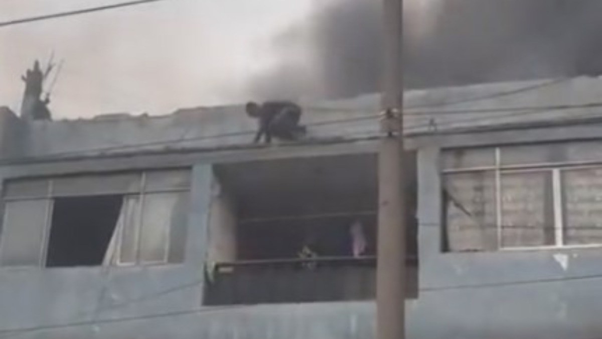 Rescatan de incendio a 25 perritos