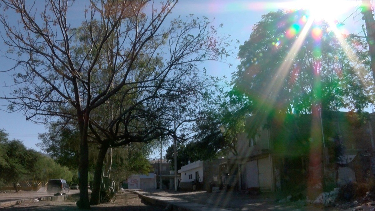 Enfrenta El Potrero 'calor infernal' y sequía
