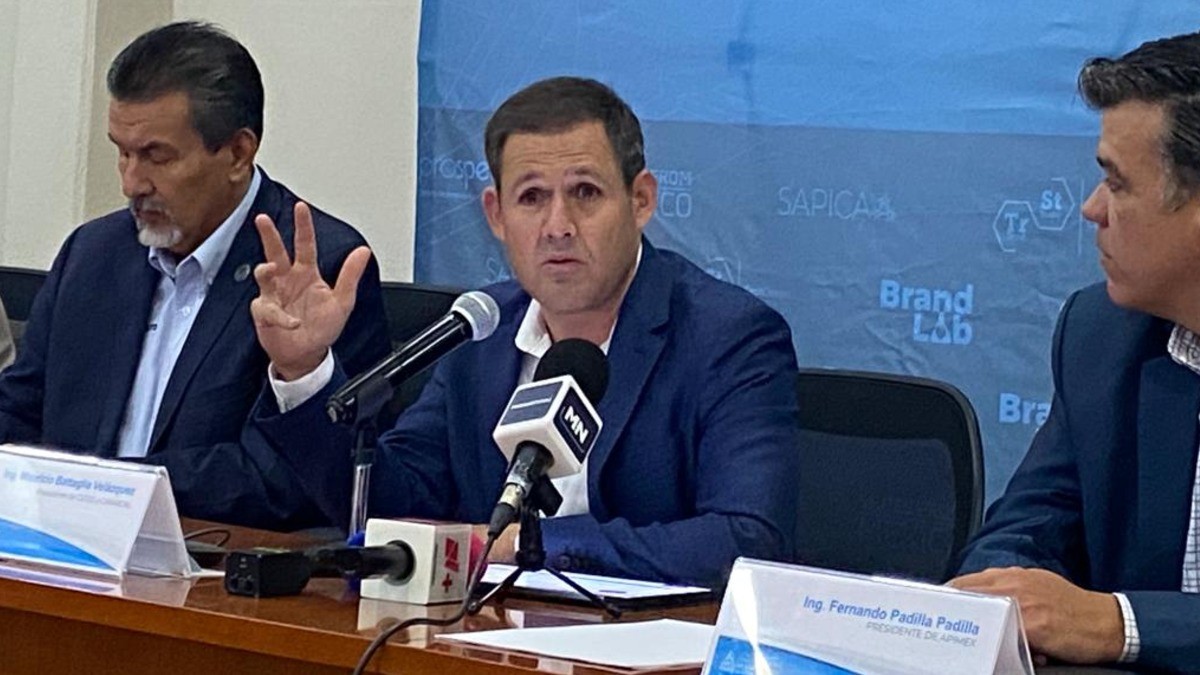 Pierden industriales zapateros mercado interno con importaciones