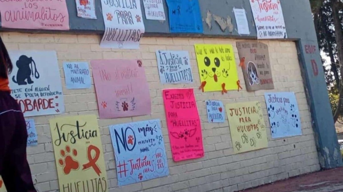 Adolescente “adoptó” perrito para torturarlo hasta la muerte y lo grabó