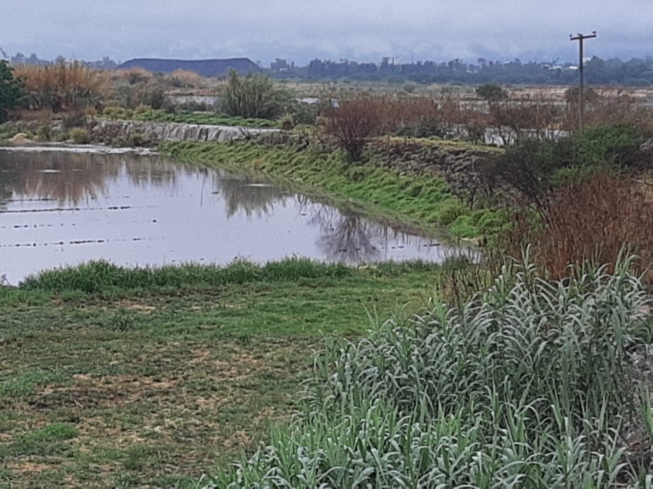 Más de 800 borderías ya están vacías: Desarrollo Rural
