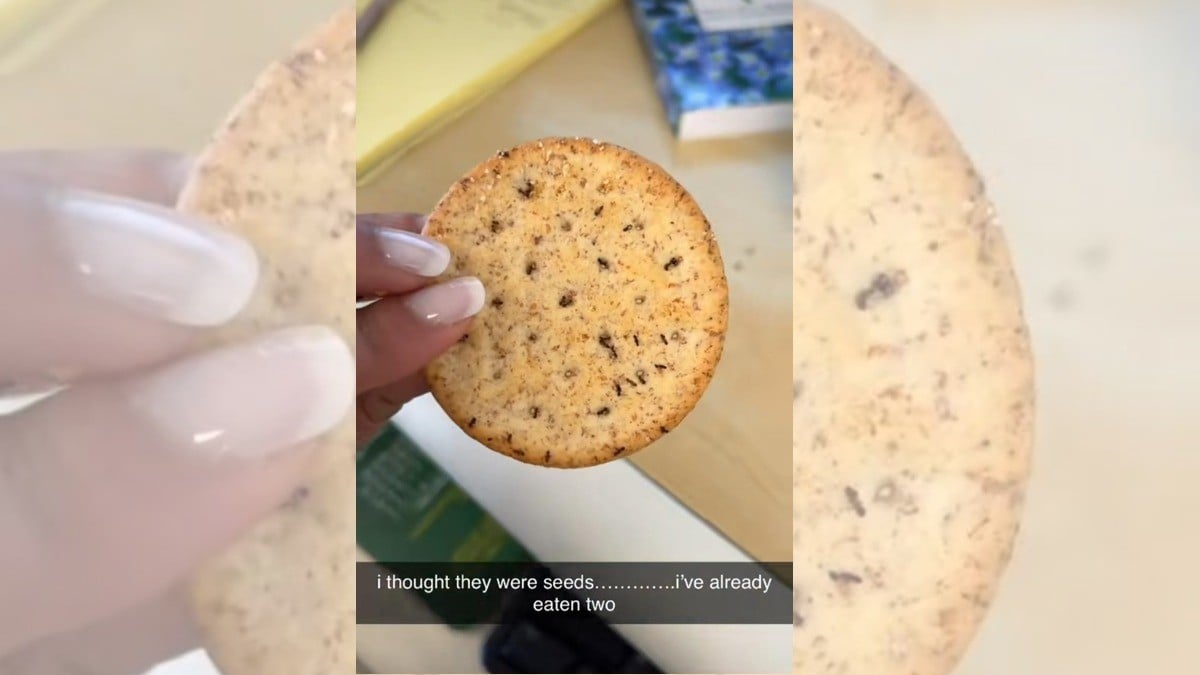 Mujer confunde unas galletas, ¡con hormigas!