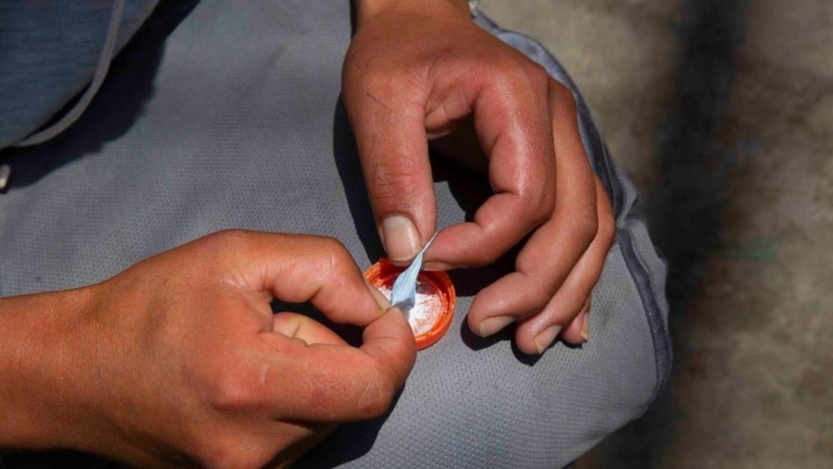 Guanajuato es el principal foco rojo por consumo de drogas en el país: AMLO