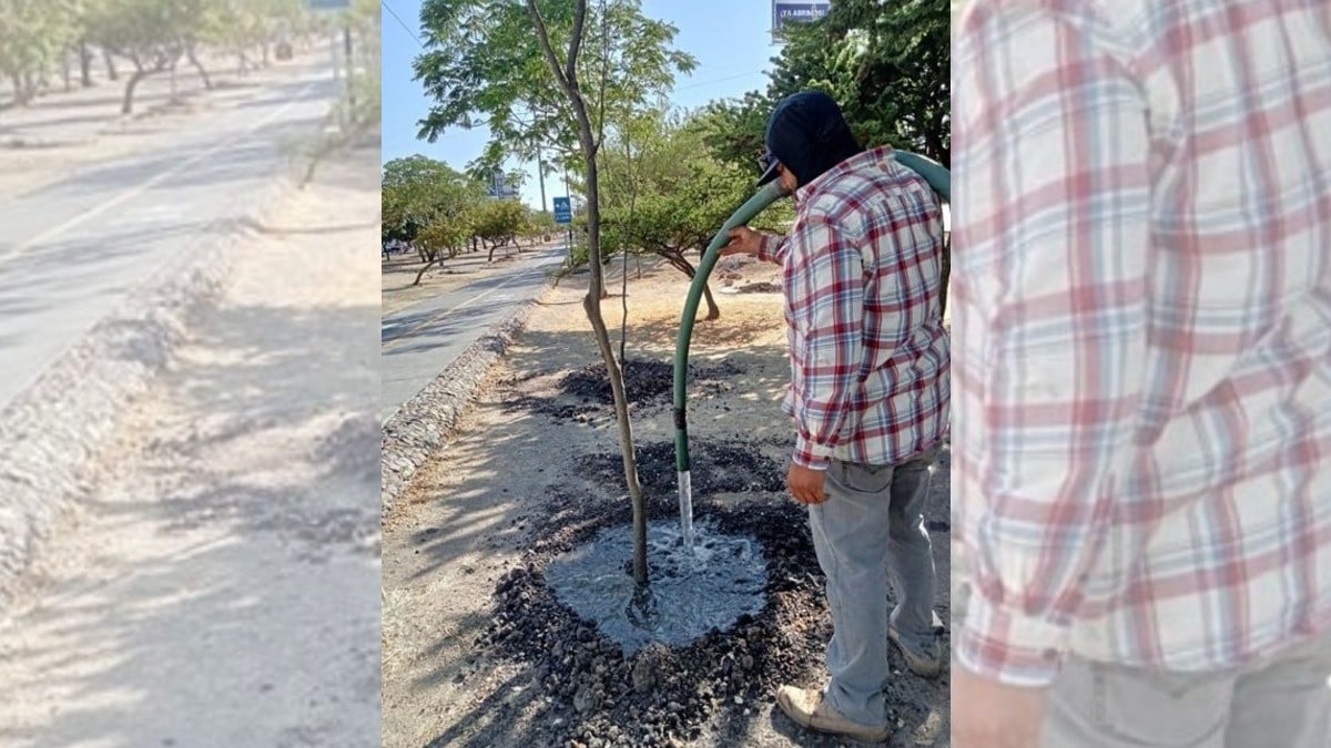 Gobernador respalda acciones medioambientales de Ale Gutiérrez