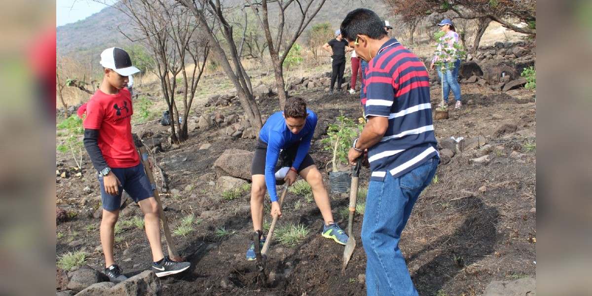 Buscará León venia de Federación para plantar árboles en Malecón