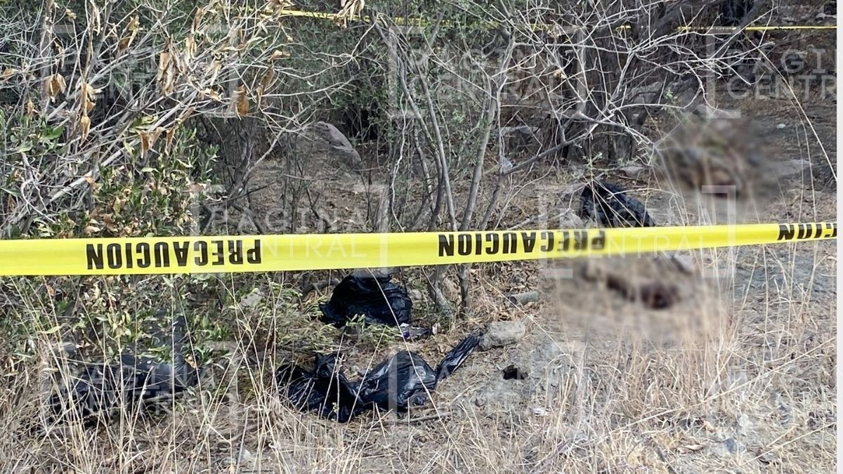 ¡Terror! Hallan cuerpo desmembrado en camino de terracería