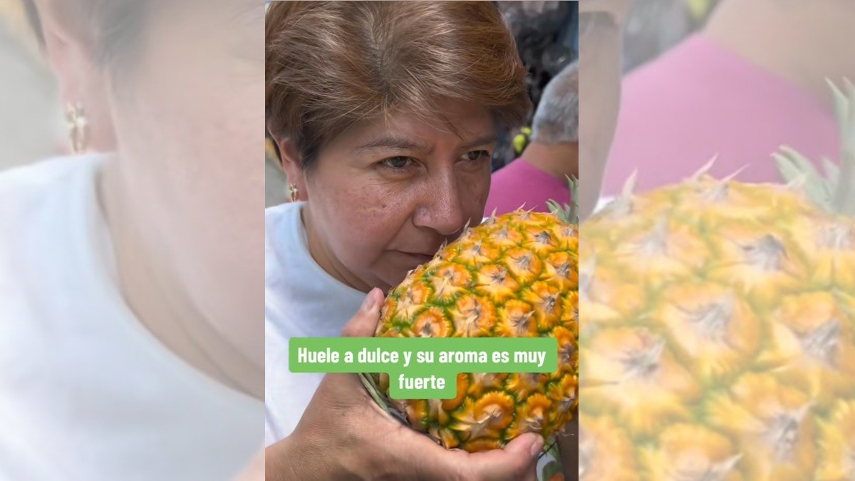 Abuelita tiktokera da tips para comprar mandado de calidad