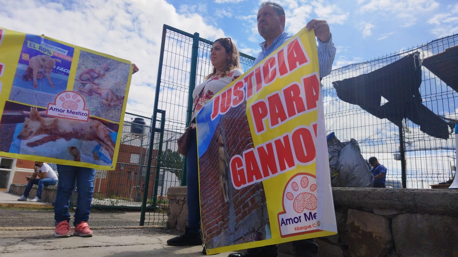 Enfrentan cargos por robo tras intentar rescatar a un perro que murió estrangulado