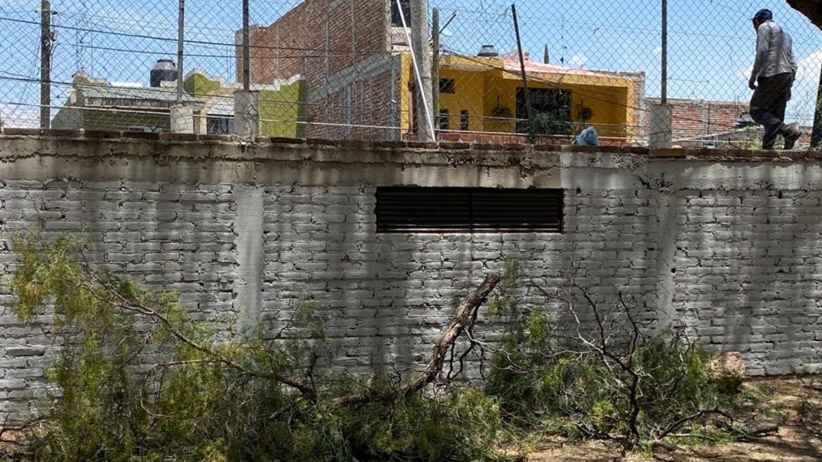 Hay que dejar de pensar en talar; “son recursos que aseguran la subsistencia”