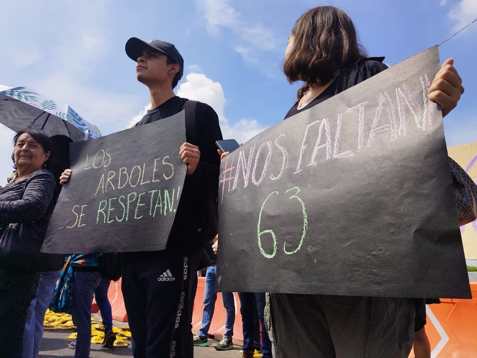 Lamenta Ale Gutiérrez que denuncias por talas tengan tintes políticos