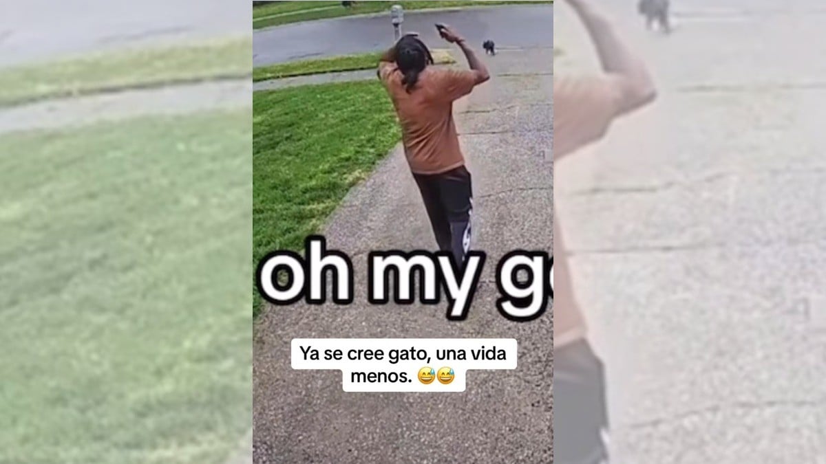 Perrito sorprende a su dueño al salvarse de ser atropellado