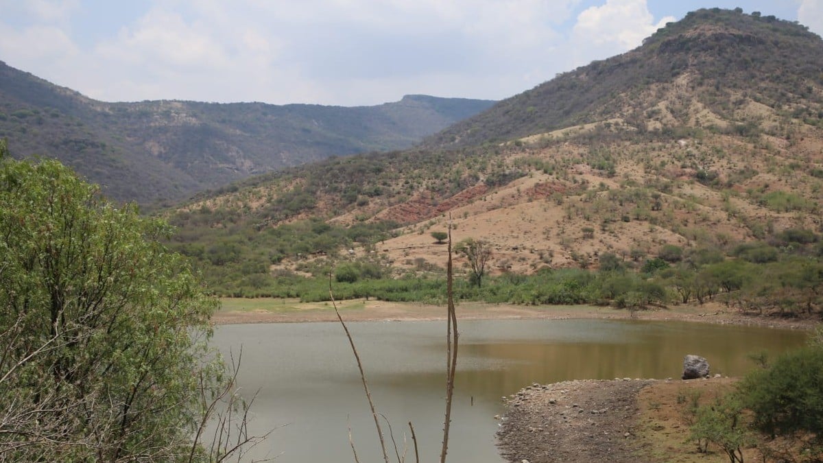 SAPAL quiere aprovechar agua de la Presa El Salto