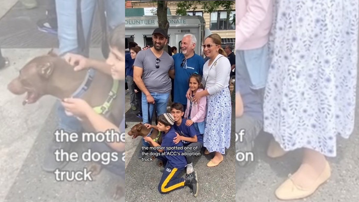 Perrita se reencuentra con su familia tras 5 meses de estar perdida