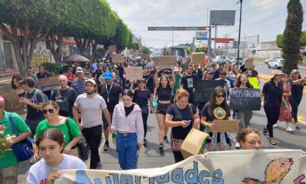 Anuncian ambientalistas primera victoria frente a tala: obras en el Malecón, suspendidas