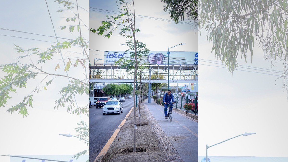 Confía gobierno de León que no parará obra del Malecón del Río pese a demanda