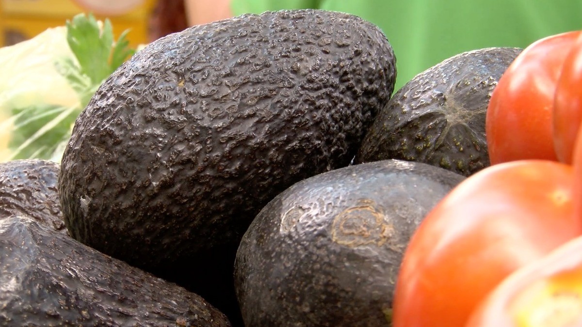 Costo del aguacate, ¡otra vez por los cielos!