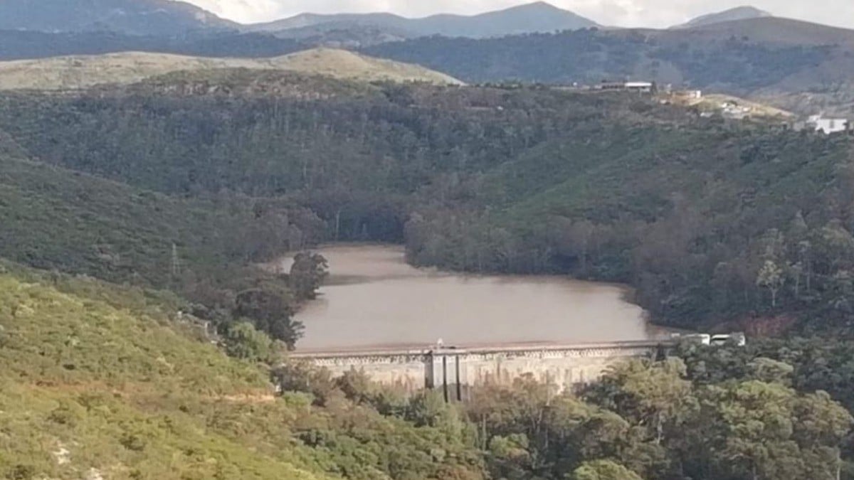 Persiste tala de árboles en áreas naturales protegidas