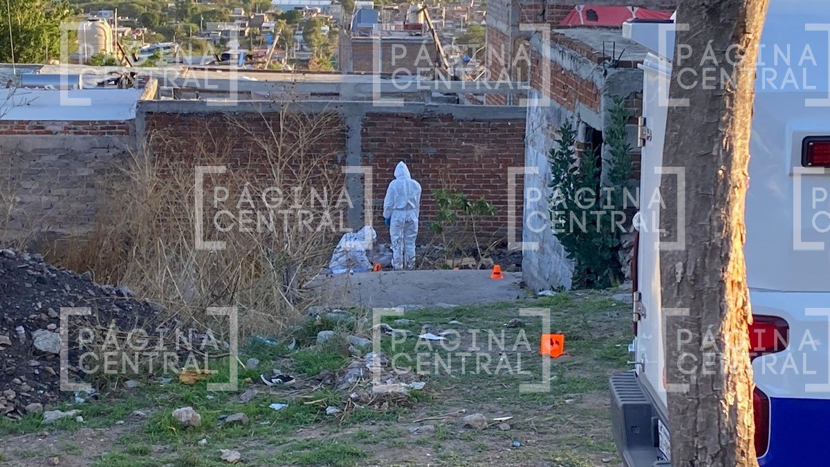 Comisión estatal y colectivos, hallan restos en finca de Jardines Lomas de Medina