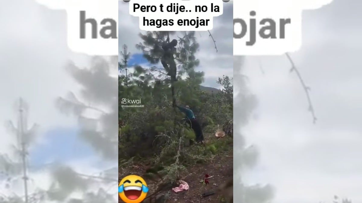 Con hachazos mujer baja a su esposo de un árbol