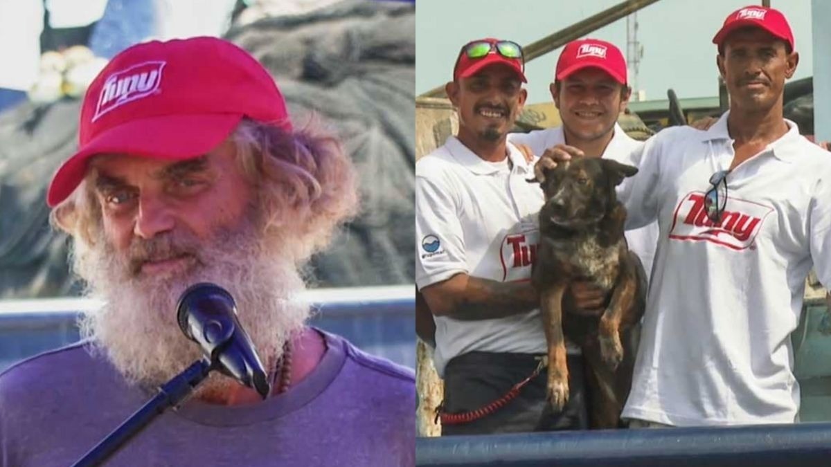 Perrita náufraga es mexicana, “tiene el espíritu del país”