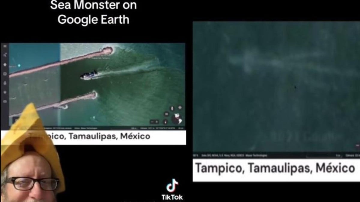 Inquieta esta supuesta extraña criatura, captada en Miramar, Tamaulipas