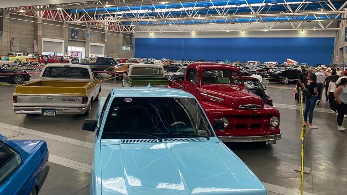 El 80% de las actividades de la Feria de Verano ¡son gratuitas!