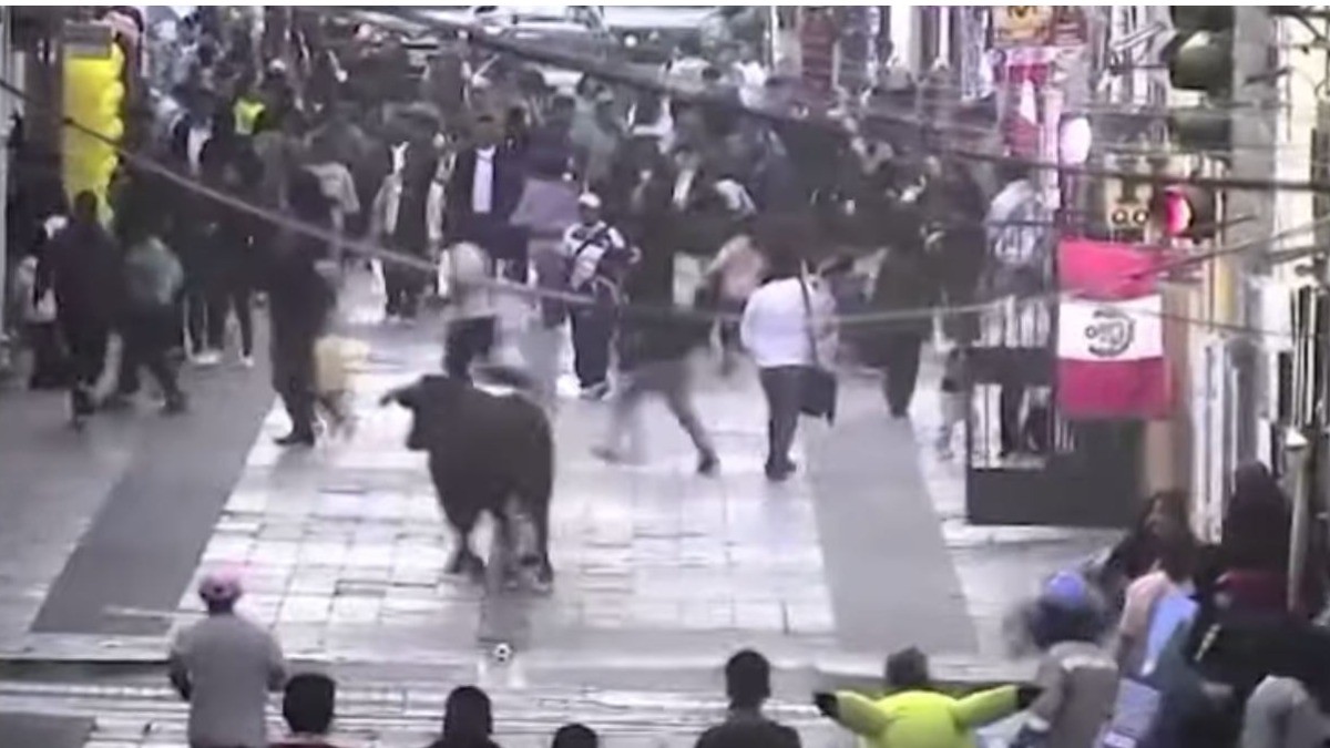 #VIDEO | Toro se escapa de fiesta patronal y causa pánico