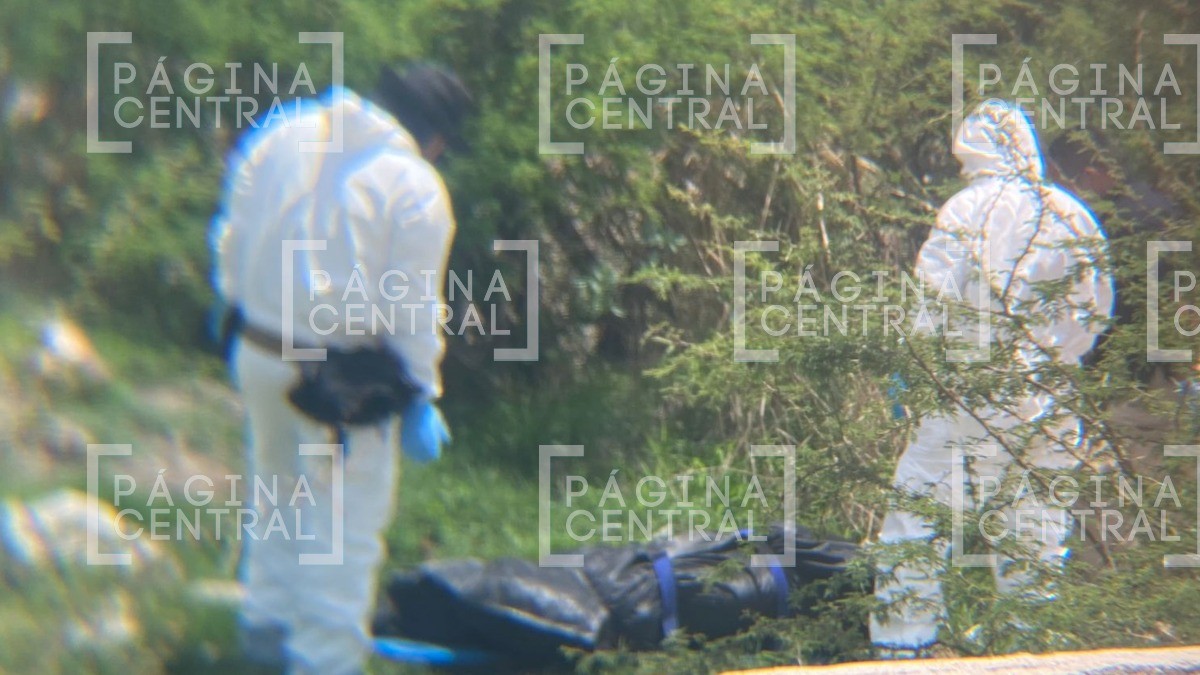 Encuentran un ‘embolsado’ en Arroyo Hondo