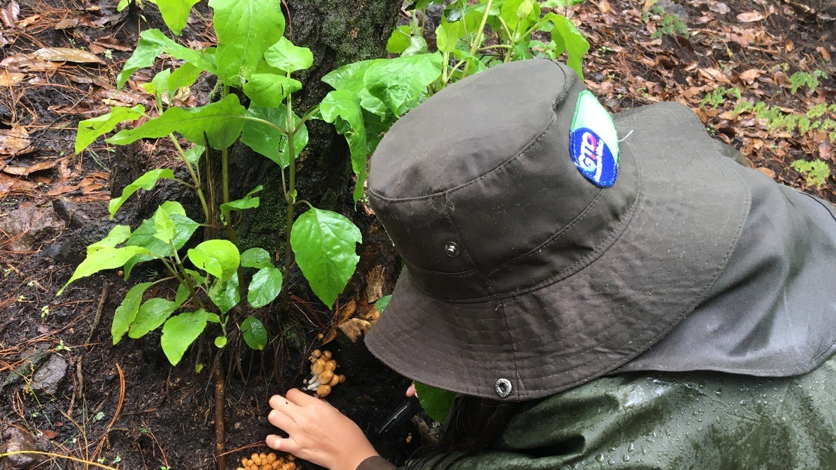 Guardabosques de Sierra de los Agustinos, ejemplo a seguir