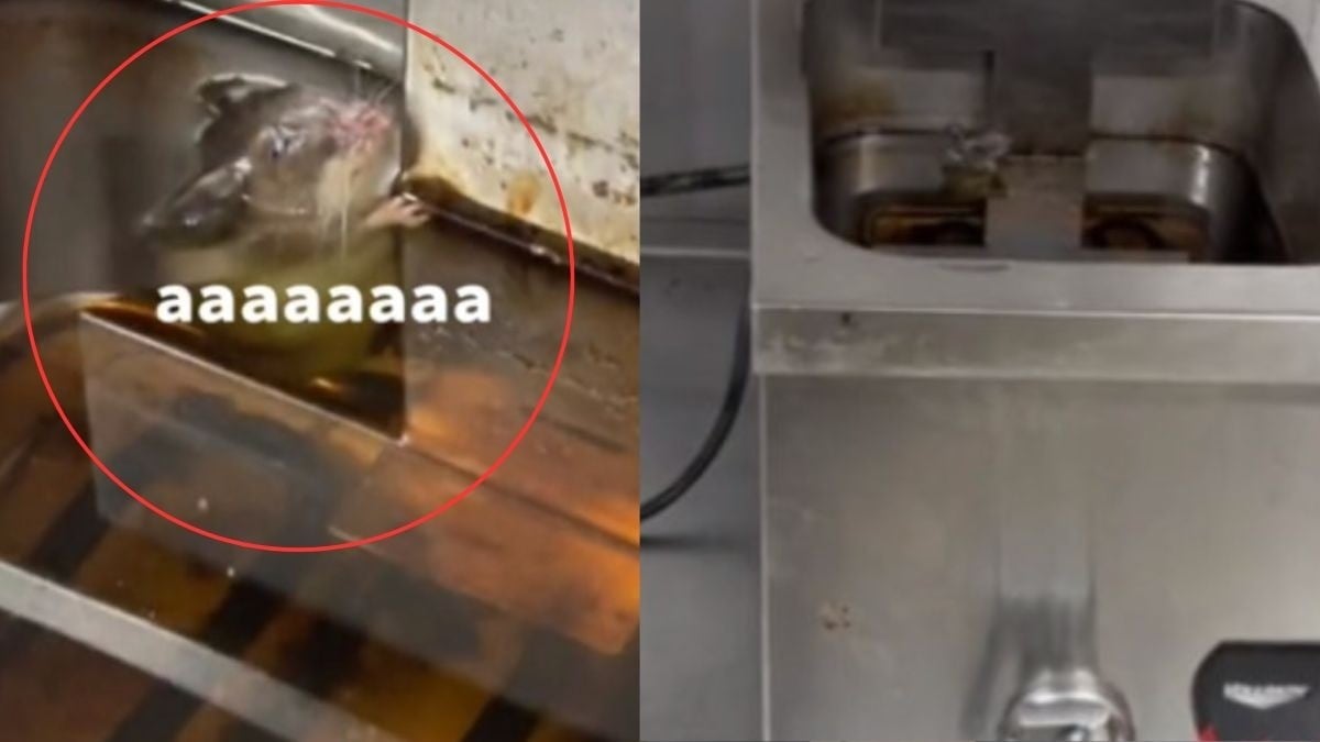 ¡Encuentra rata en freidora de restaurante!
