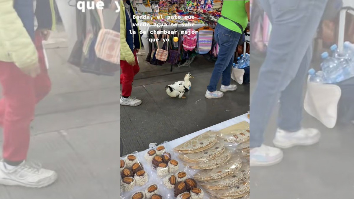 Patito “tianguista“ conmueve en redes por su vender botellas de agua