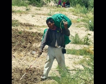Video viral: hombre invidente se guía con el tacto para ganarse la vida cortando chiles