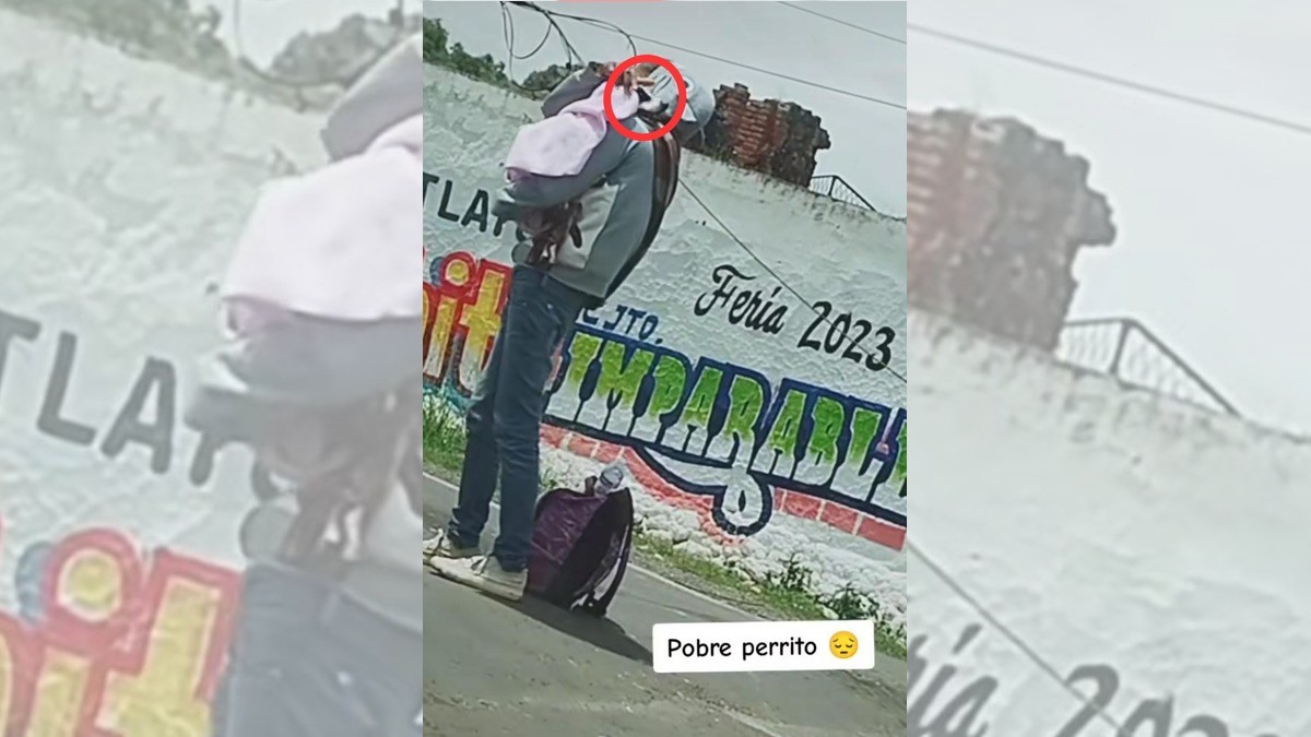 Mujer hace pasar a su perrito como bebé para pedir limosna